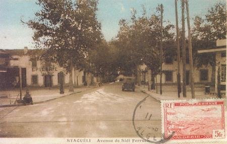 ARCHIVE  STAOUELI